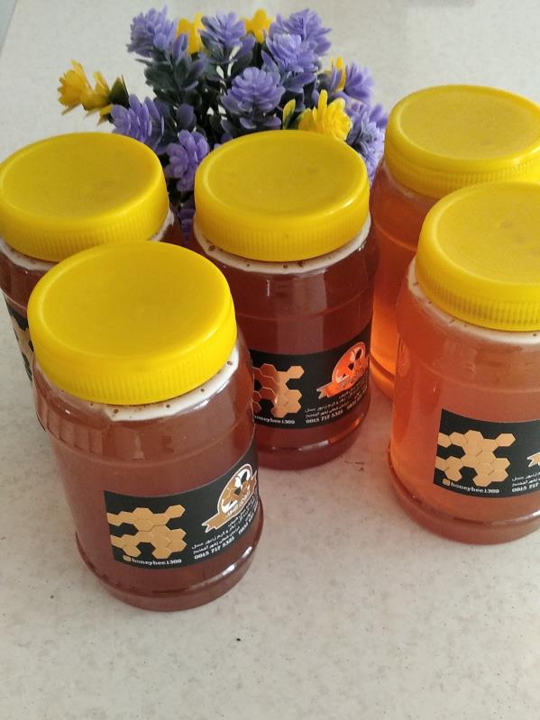 عسل بهاره آویشن بسته‌بندی 1 کیلو گرمی