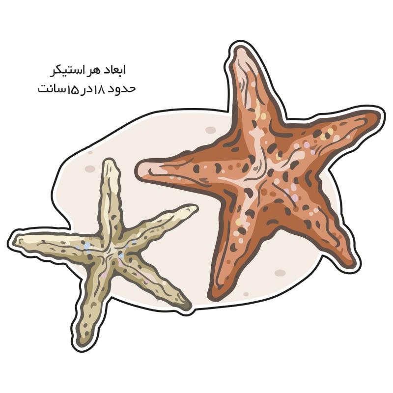 استیکر لپ تاپ ایده پرداز نوین مدل ستاره دریایی کد 185