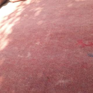 موکت الوان ۷ رنگ