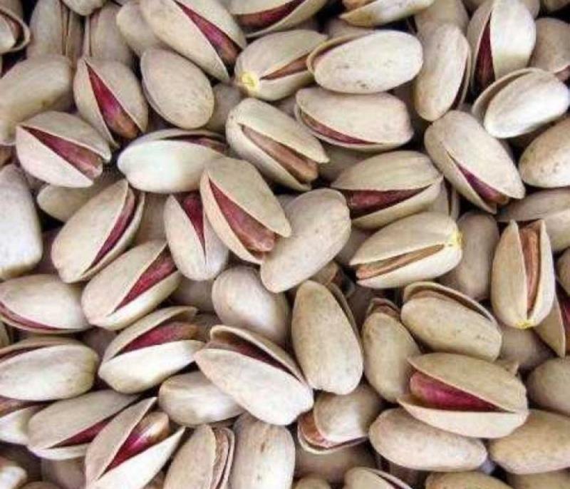 پسته اکبری