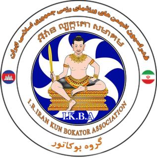 آموزش هنرهای رزمی mma