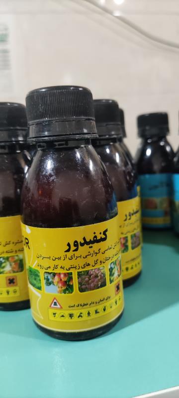 سم کنفیدور