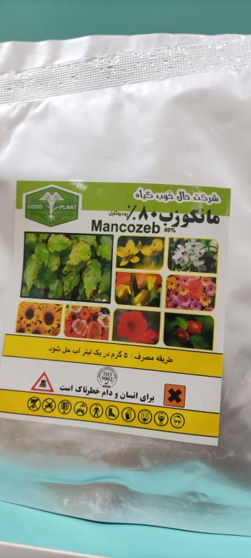 قارچکش مانکوزب 80%