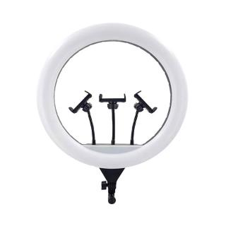 رینگ لایت Ring Light JL-F388