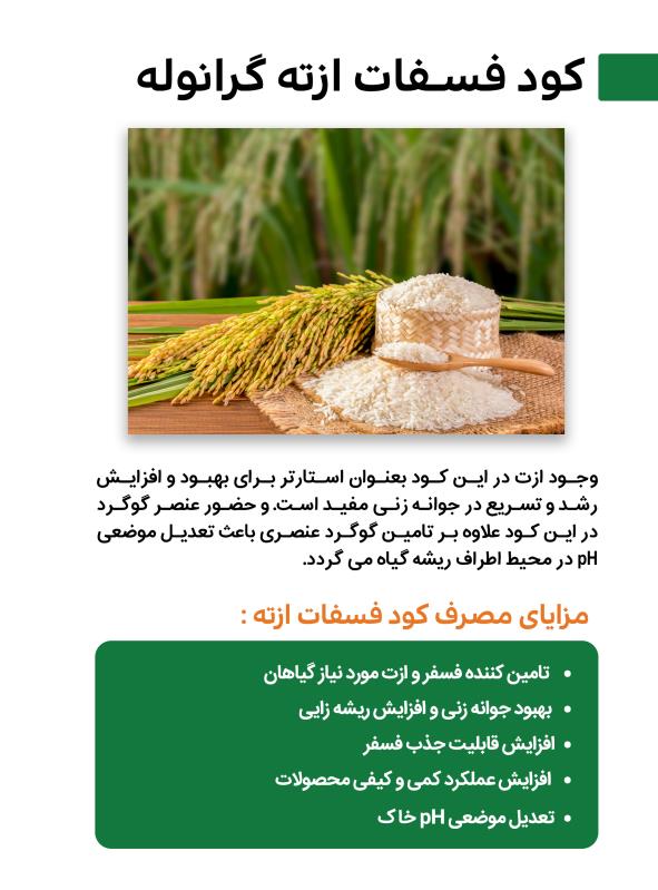 کود فسفات ازته