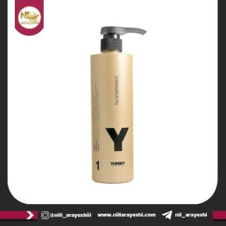 شامپو احیا کننده مو یانسی پروفشنال مدل Regenerance شماره۱