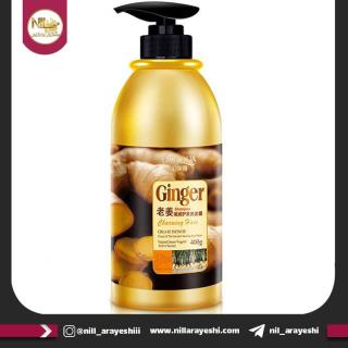 شامپو پمپی زنجبیل بیوآکوا کد bqy2430