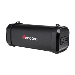 اسپیکر بیکارو F41b