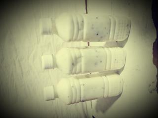 دوغ نیم لیتری نعنادار