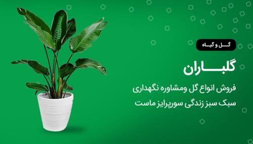 گل و گلدان