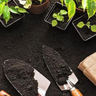 خاک گلدان ارگانیکال