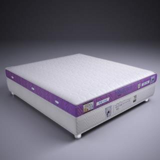 تشک مدل ثمین دو نفره 200x160