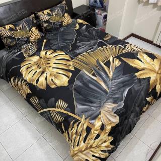 کد D291 روتختی ترکسان