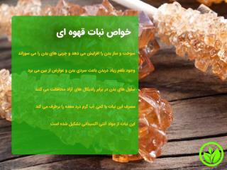 نبات قهوه ای چوبی