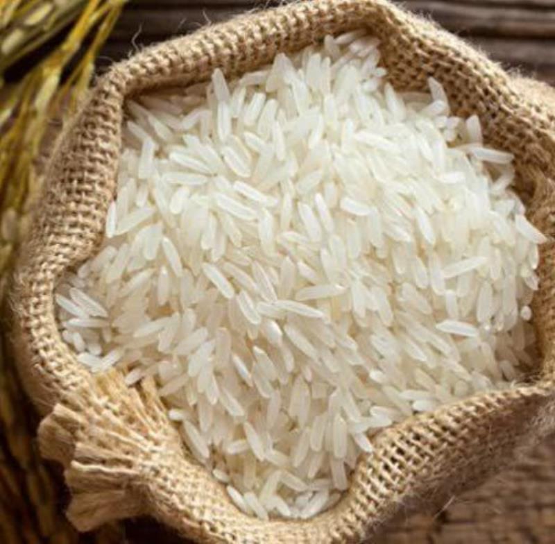 برنج فجر سوزنی حاتم
