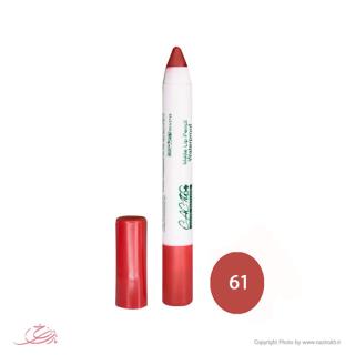 رژ لب مدادی گیاهی کاکتوس شماره 61