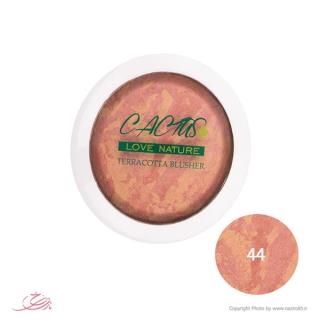 رژگونه تراکوتا گیاهی کاکتوس شماره 44