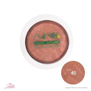 رژگونه تراکوتا گیاهی کاکتوس شماره 45