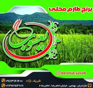 برنج طارم محلی درجه یک