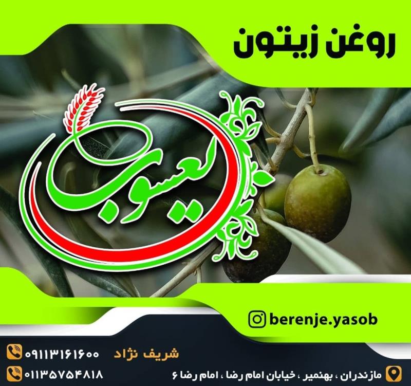 روغن زیتون درجه یک یعسوب