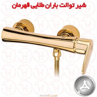 شیر توالت باران طلایی قهرمان