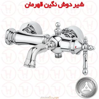 شیر دوش نگین قهرمان