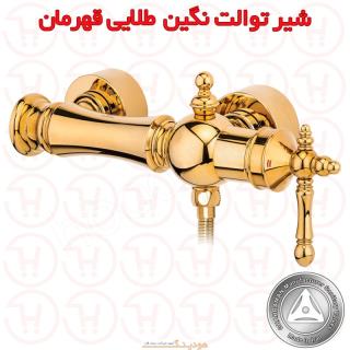 شیر توالت نگین طلایی قهرمان