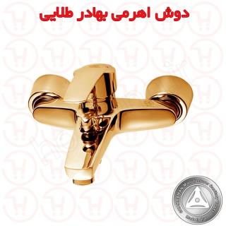 شیر دوش بهادر طلایی قهرمان