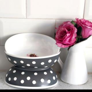 کاسه بیضی خالدار