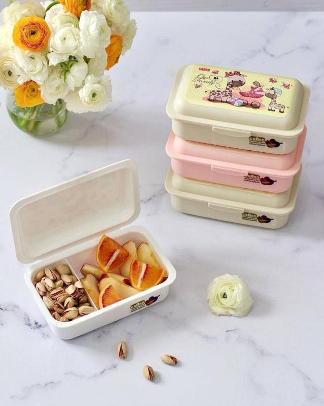 ظرف غذا ۲خانه چاپدار 48عددی