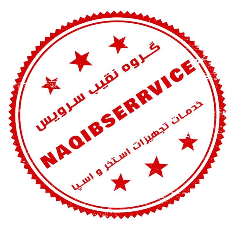 تعمیر بخارساز برقی سونا