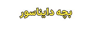 قاب پشت گلسی Robot Bear محافظ لنزدار Samsung Galaxy A13 4G