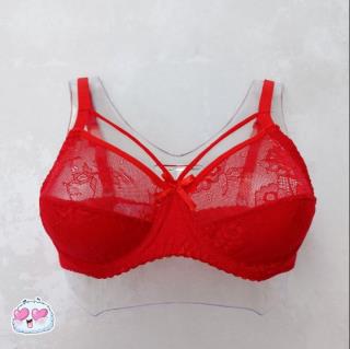 سوتین هارنس دار ژوبین