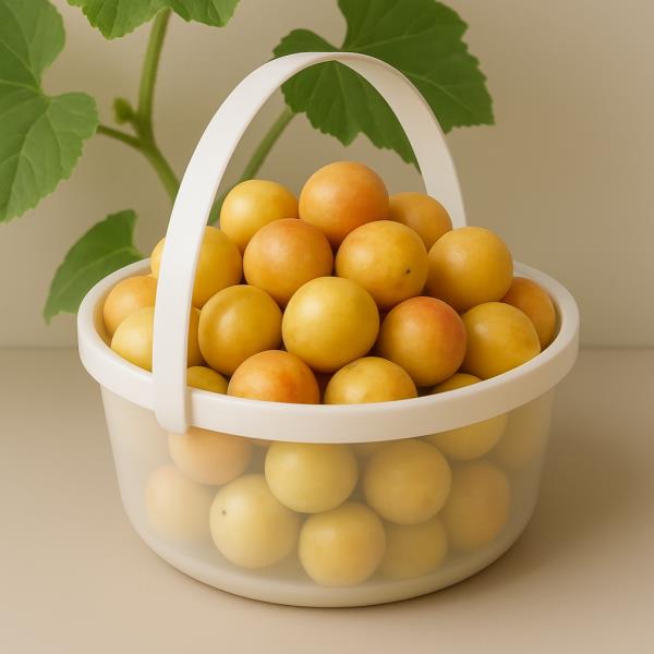 لوگوی خشکبارمحلی ده چین