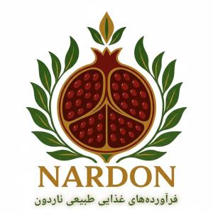 لوگوی ناردون کمپانی