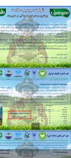 کود ارگانیک