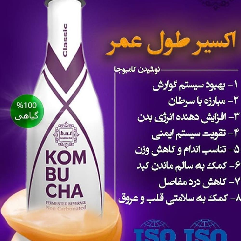 نوشیدنی سلامتی کامبوچا