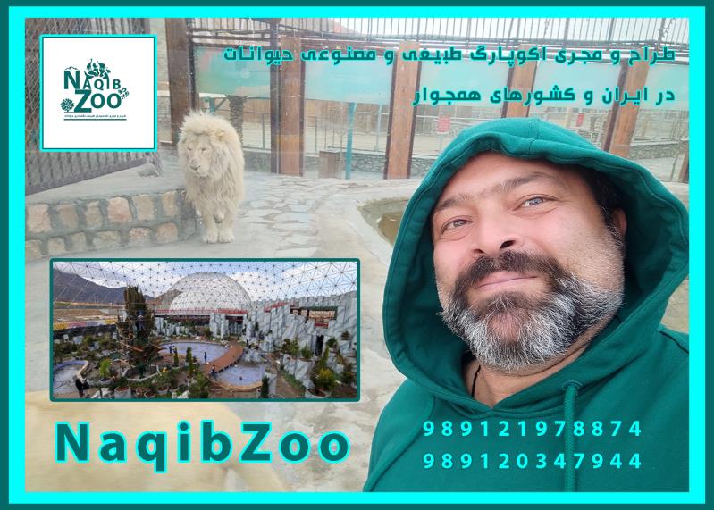 NAQIBZOO