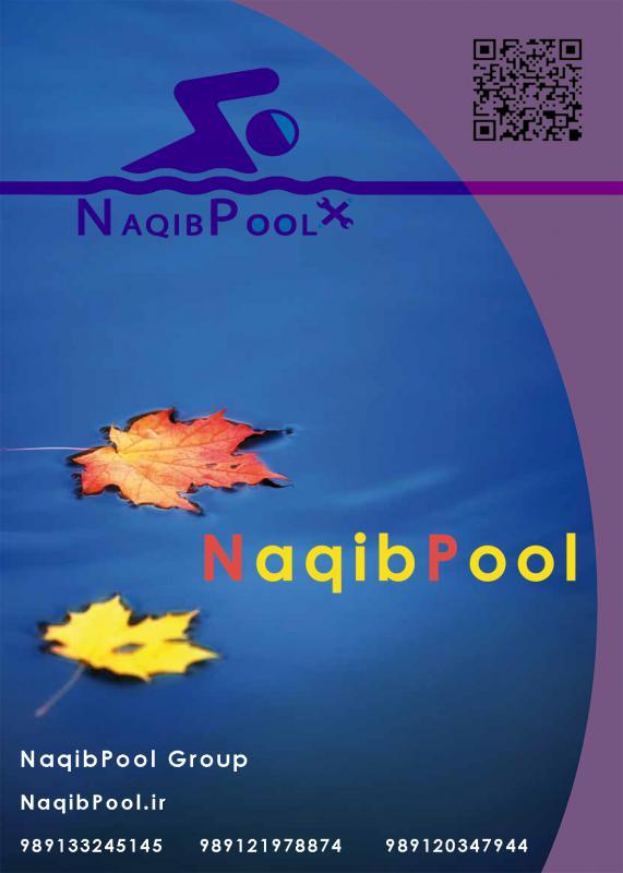 گروه بین المللی نقیب استخر