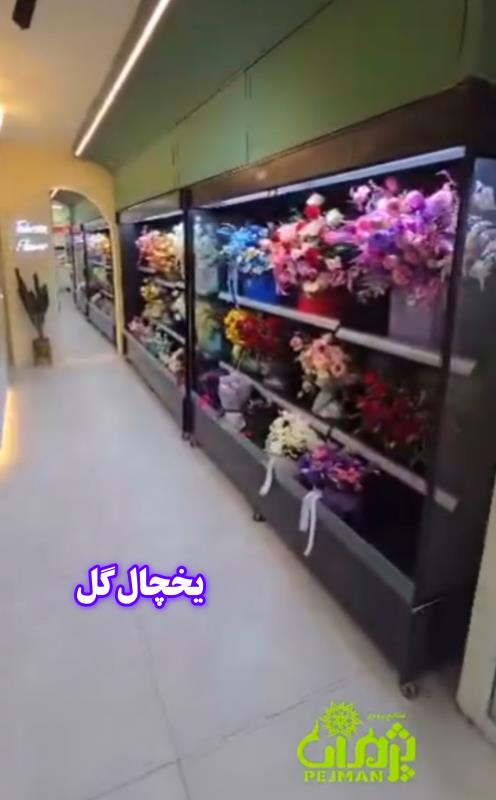 یخچال گل