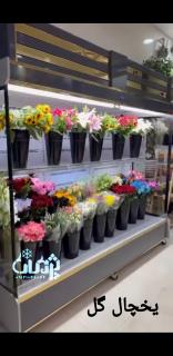 یخچال گلفروشی