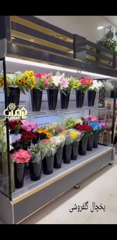 یخچال گلفروشی
