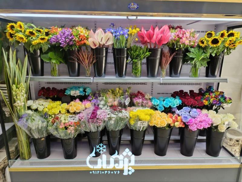 یخچال گلفروشی