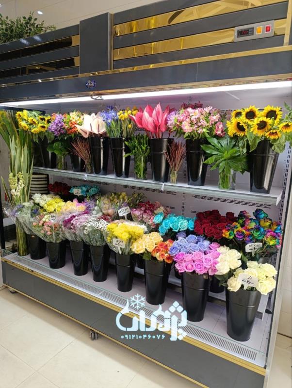 یخچال گلفروشی