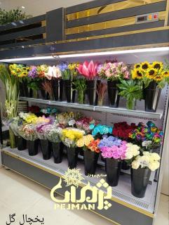 یخچال گلفروشی در طرحهای متنوع