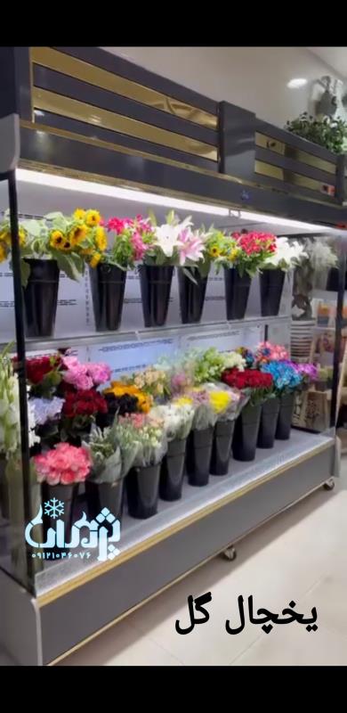 یخچال گلفروشی در طرحهای متنوع