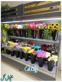 یخچال گل در صنایع برودتی پژمان