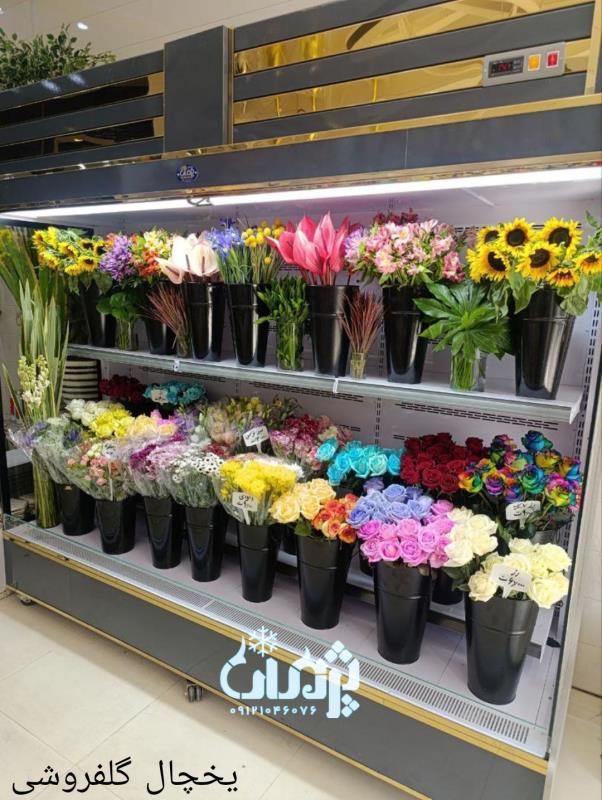 یخچال ایستاده پرده هوا