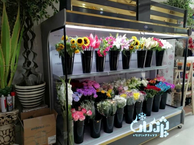 تولیدی یخچال ایستاده پرده هوا(یخچال روباز)