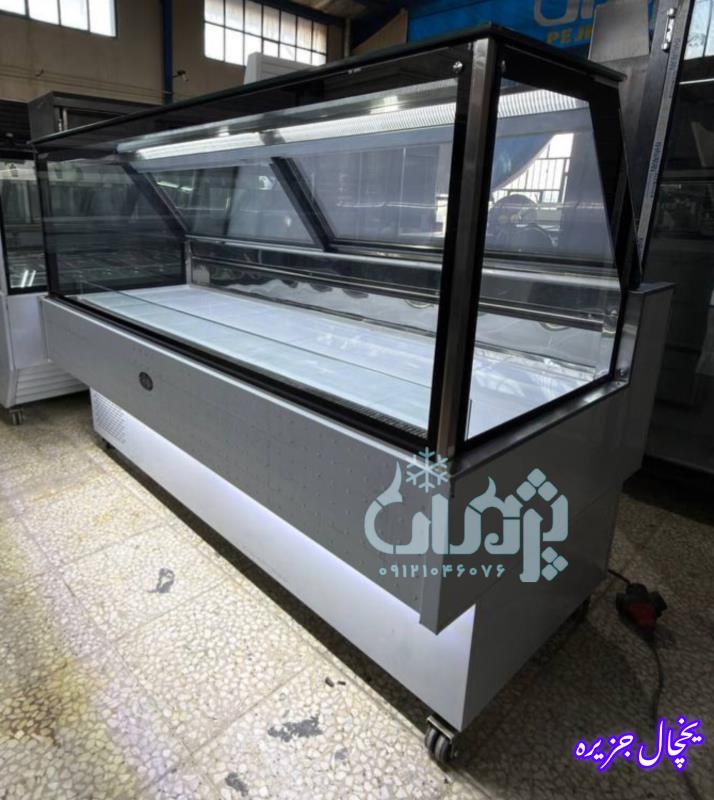 یخچال پروتئین فروشی
